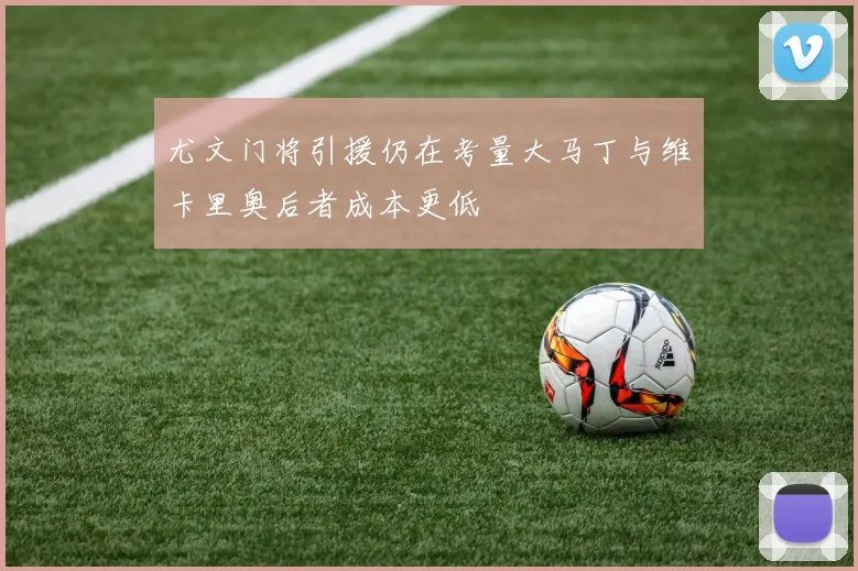 尤文门将引援仍在考量大马丁与维卡里奥后者成本更低